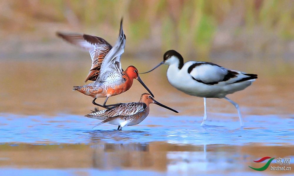 215214itwvbd4itbi3t903 (1).jpg