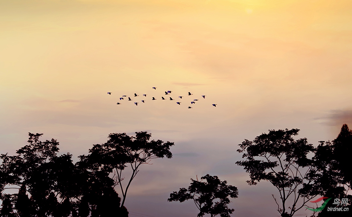 DSC_5660_DxO (1).jpg