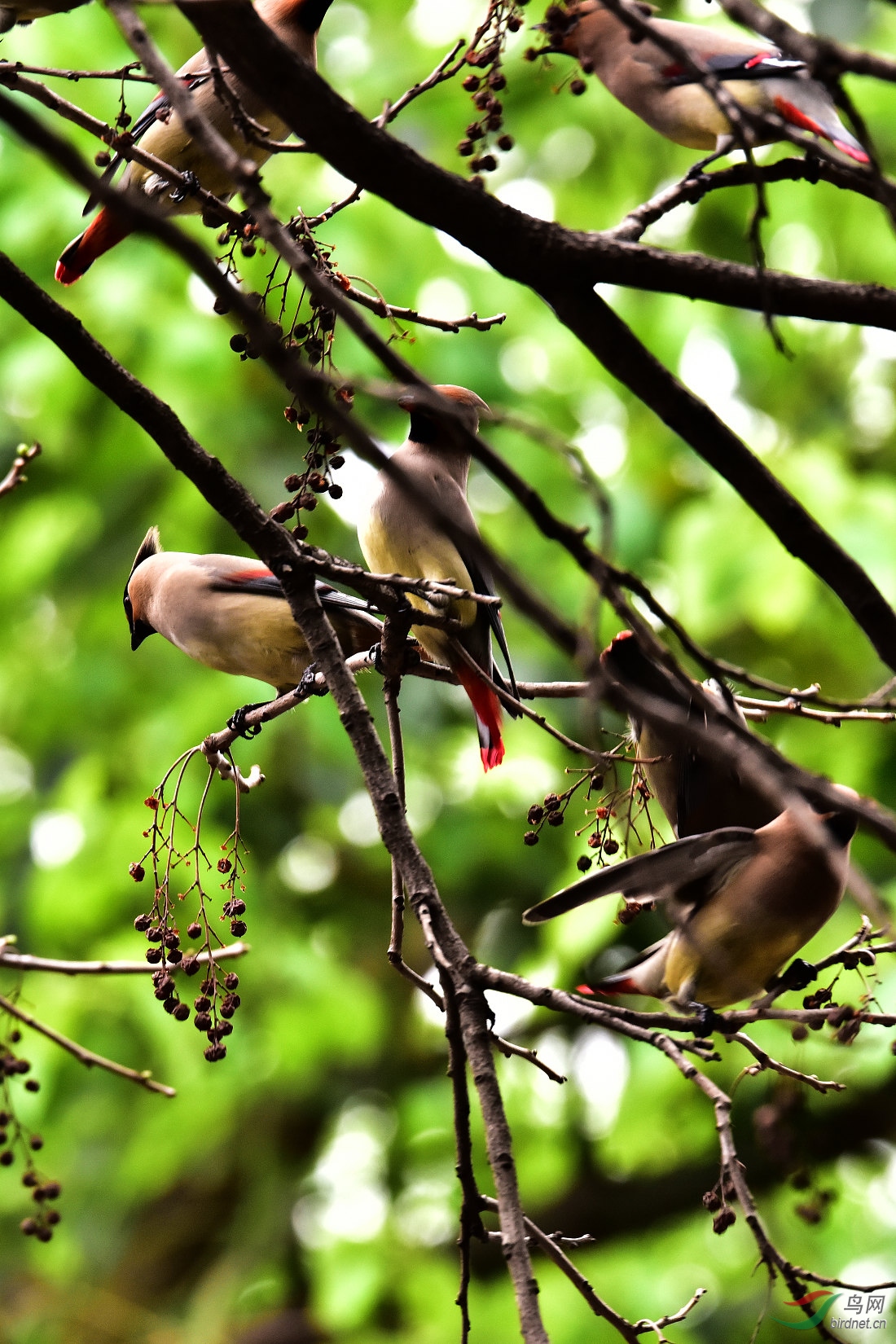 DSC_0717.JPG