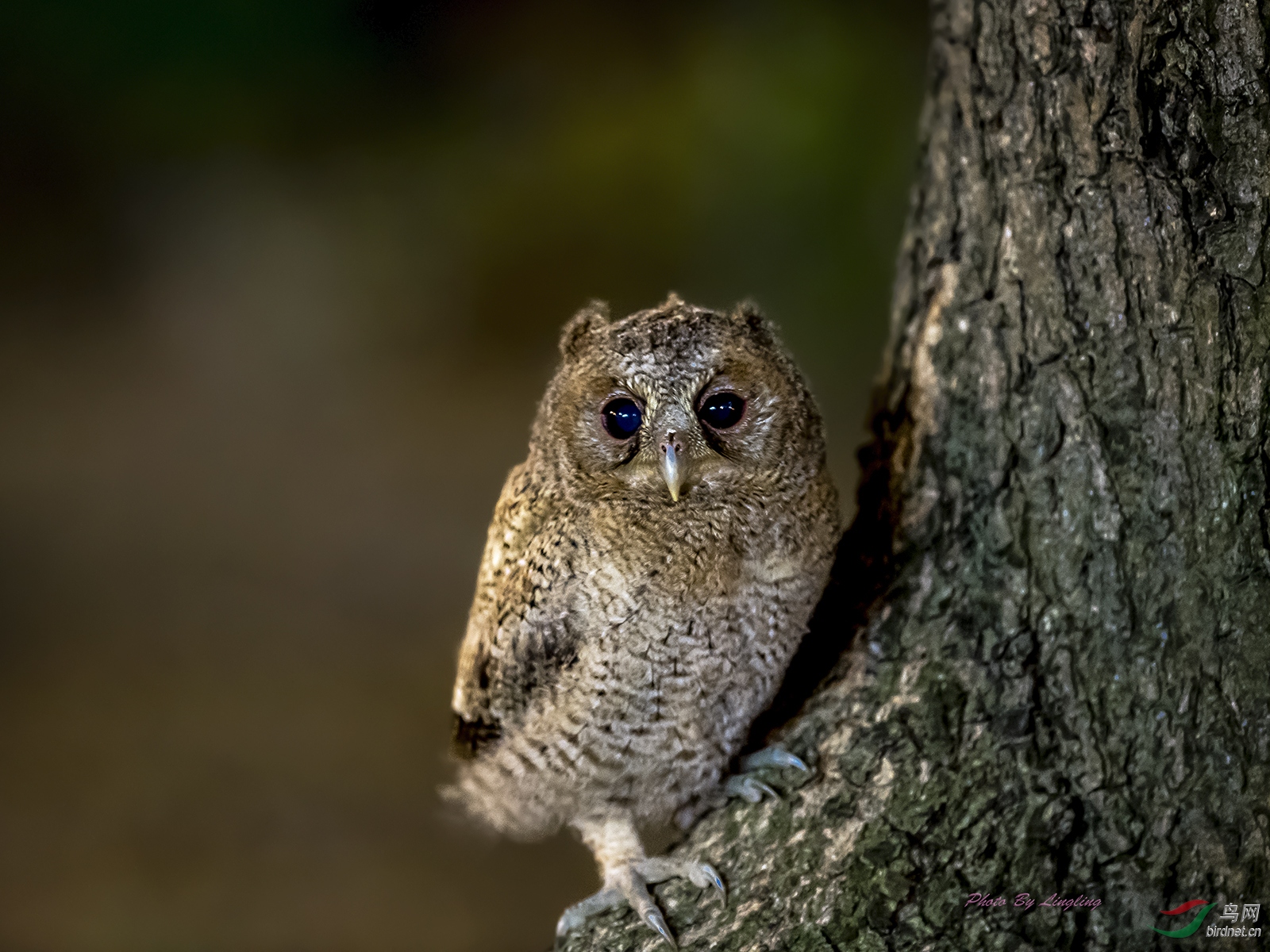 DSC_5856.jpg