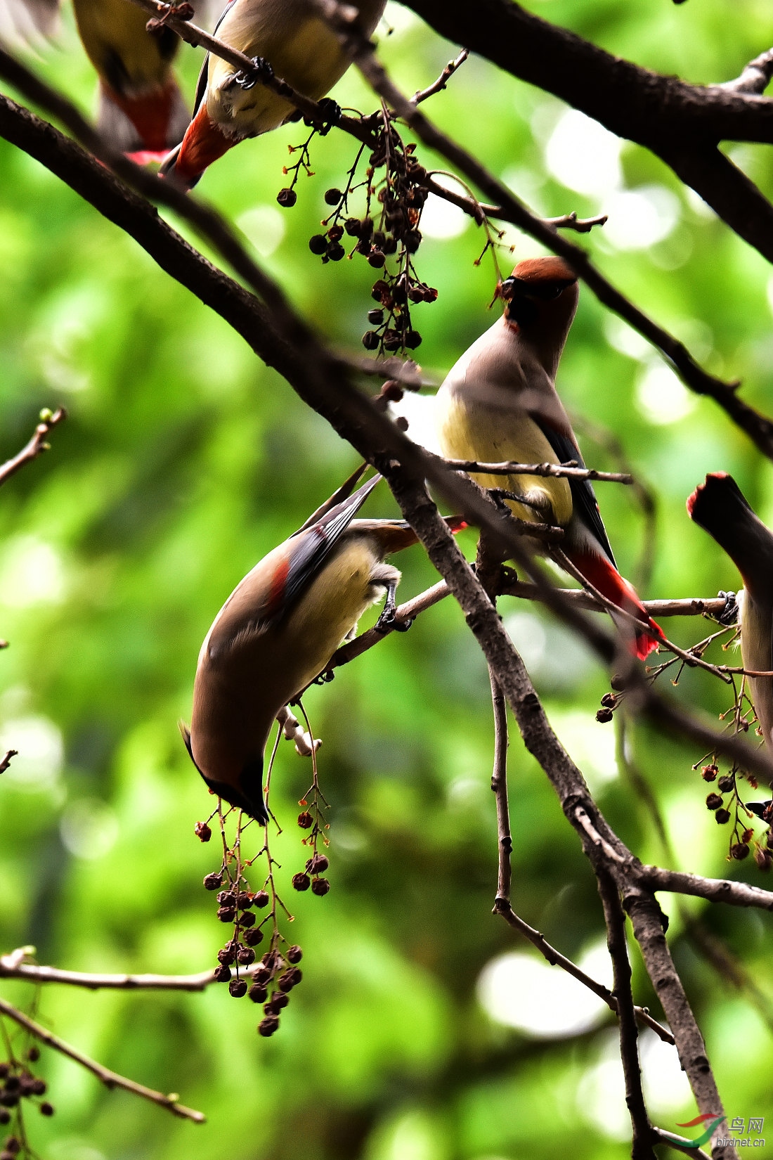 DSC_0719.JPG
