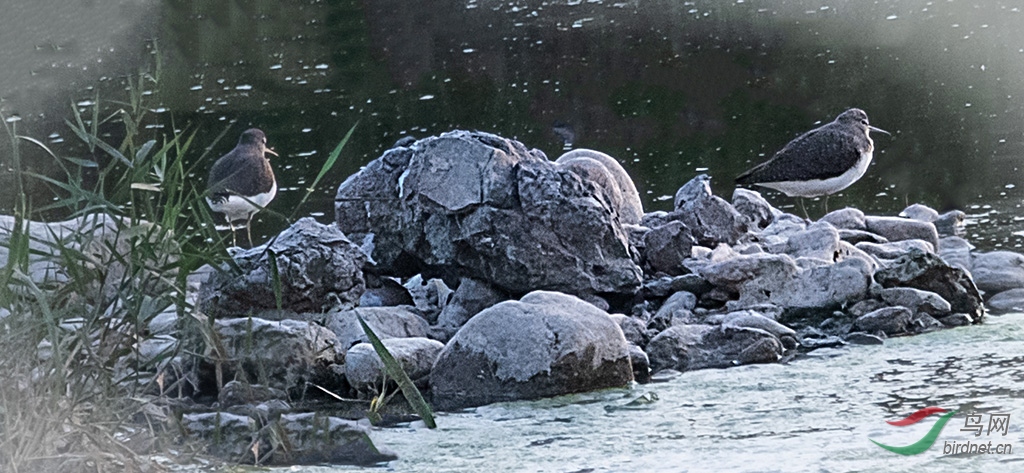 _DSC0858zz.jpg