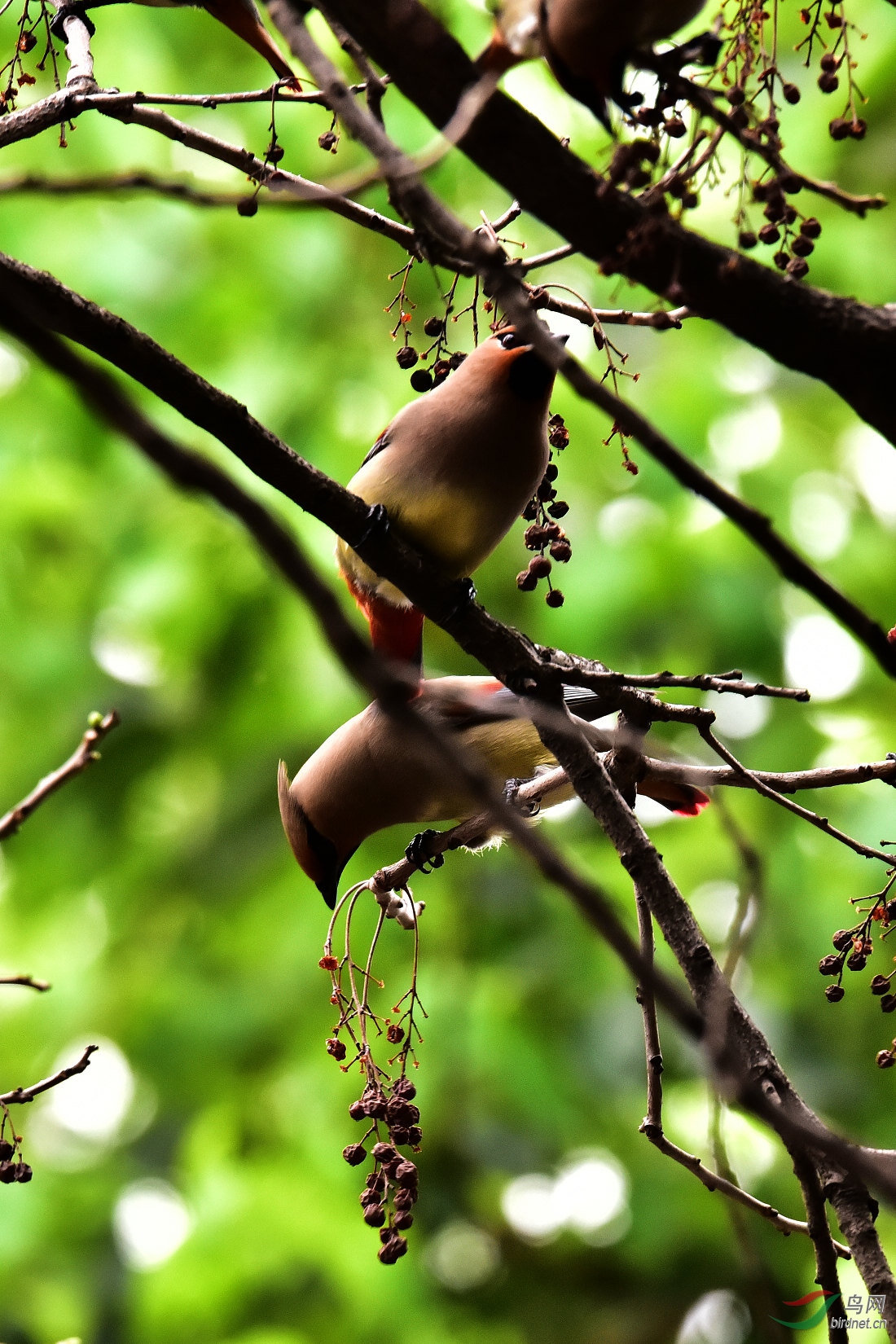 DSC_0721.JPG