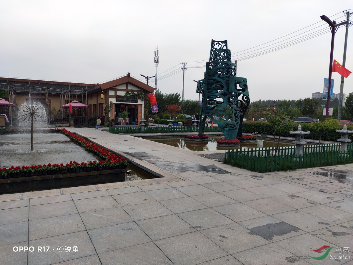 IMG20201011144126.jpg