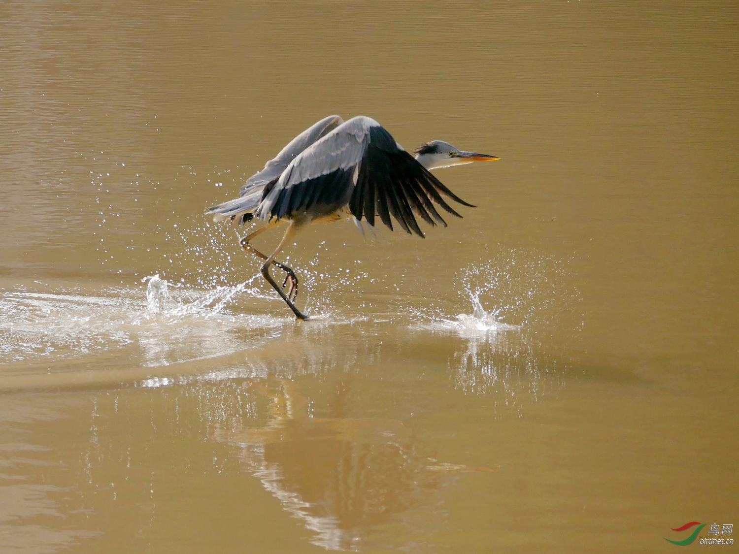 202053.��ױ��ˮ�ң��ź�������ˣ�