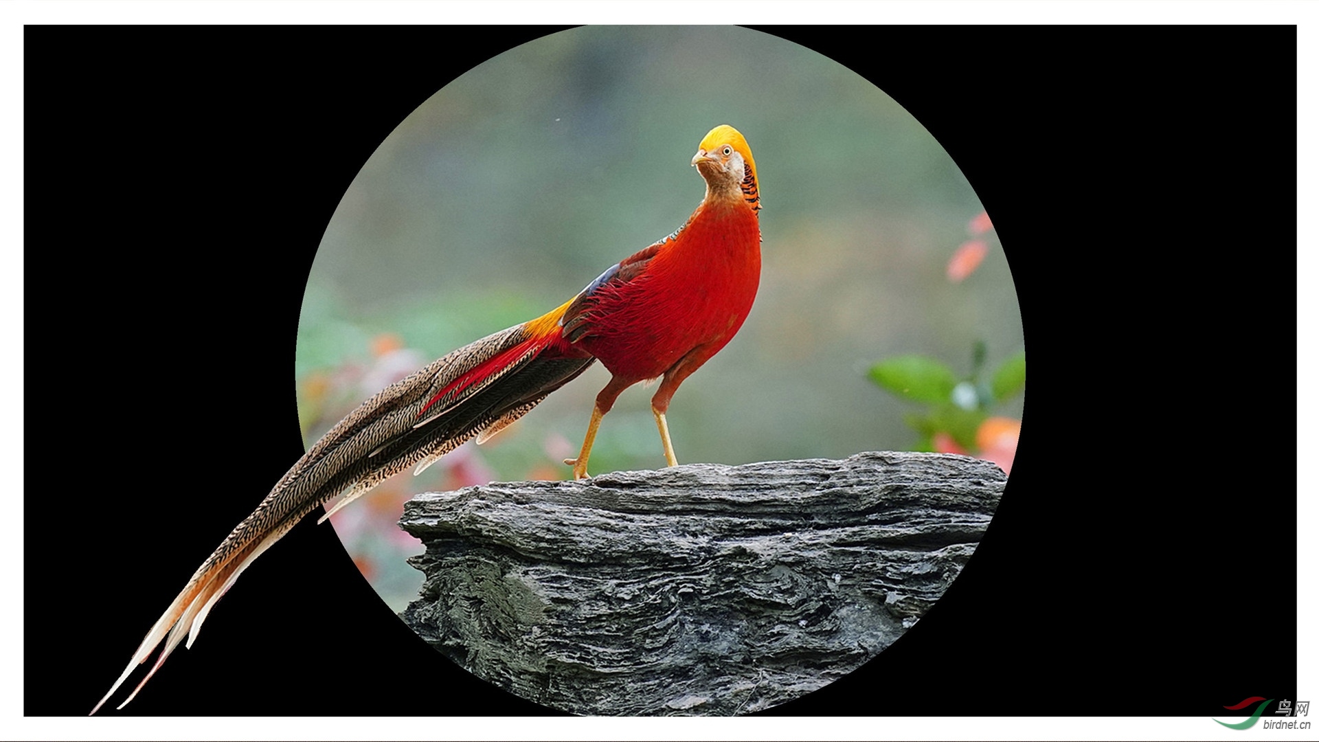 DSC00348 - ����_����.jpg