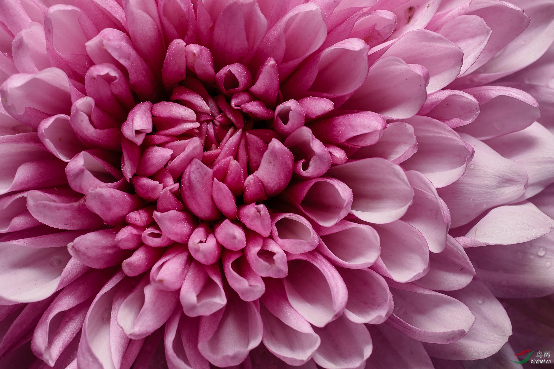 δ����-06295.jpg