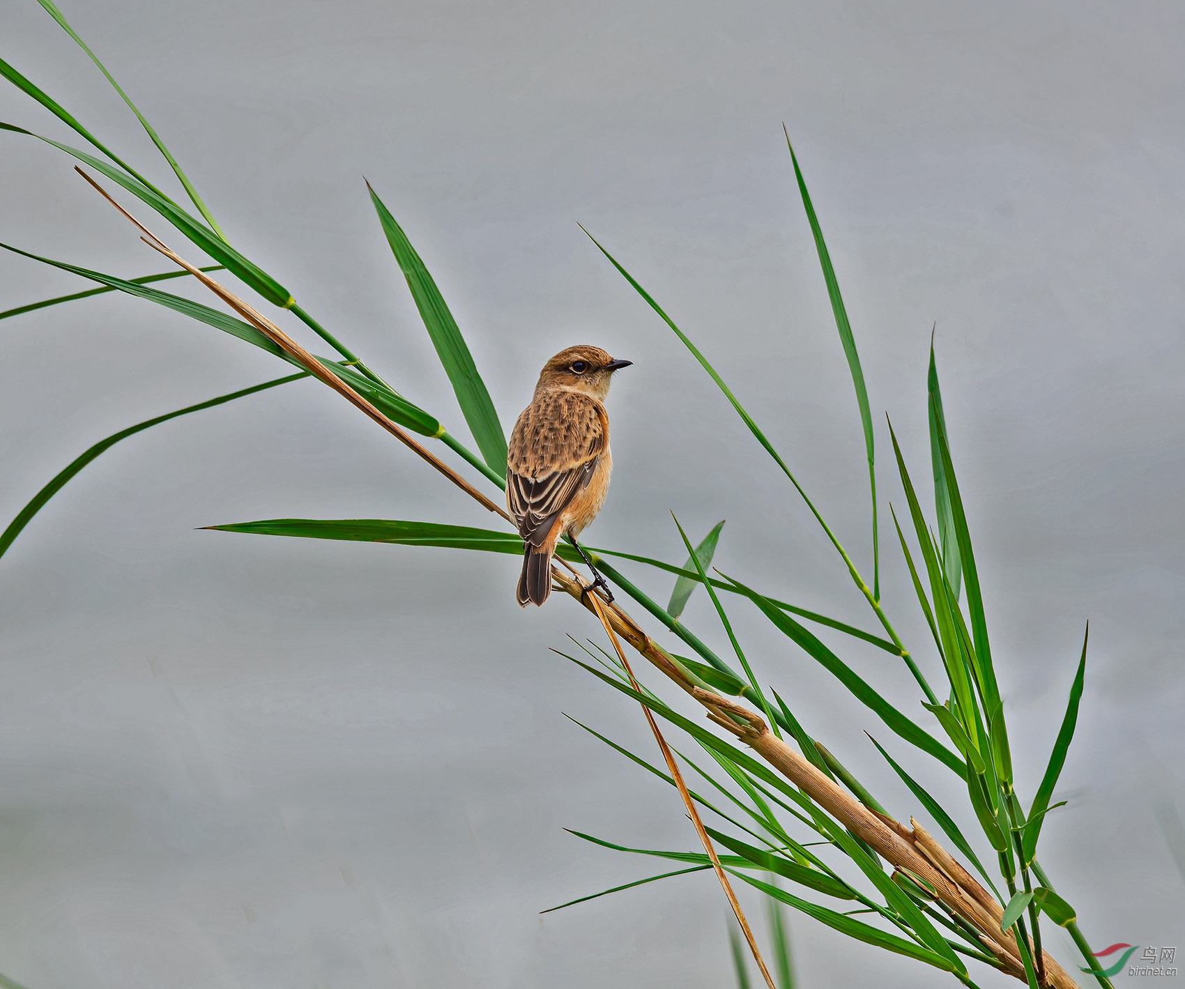 DSC_6691.jpg
