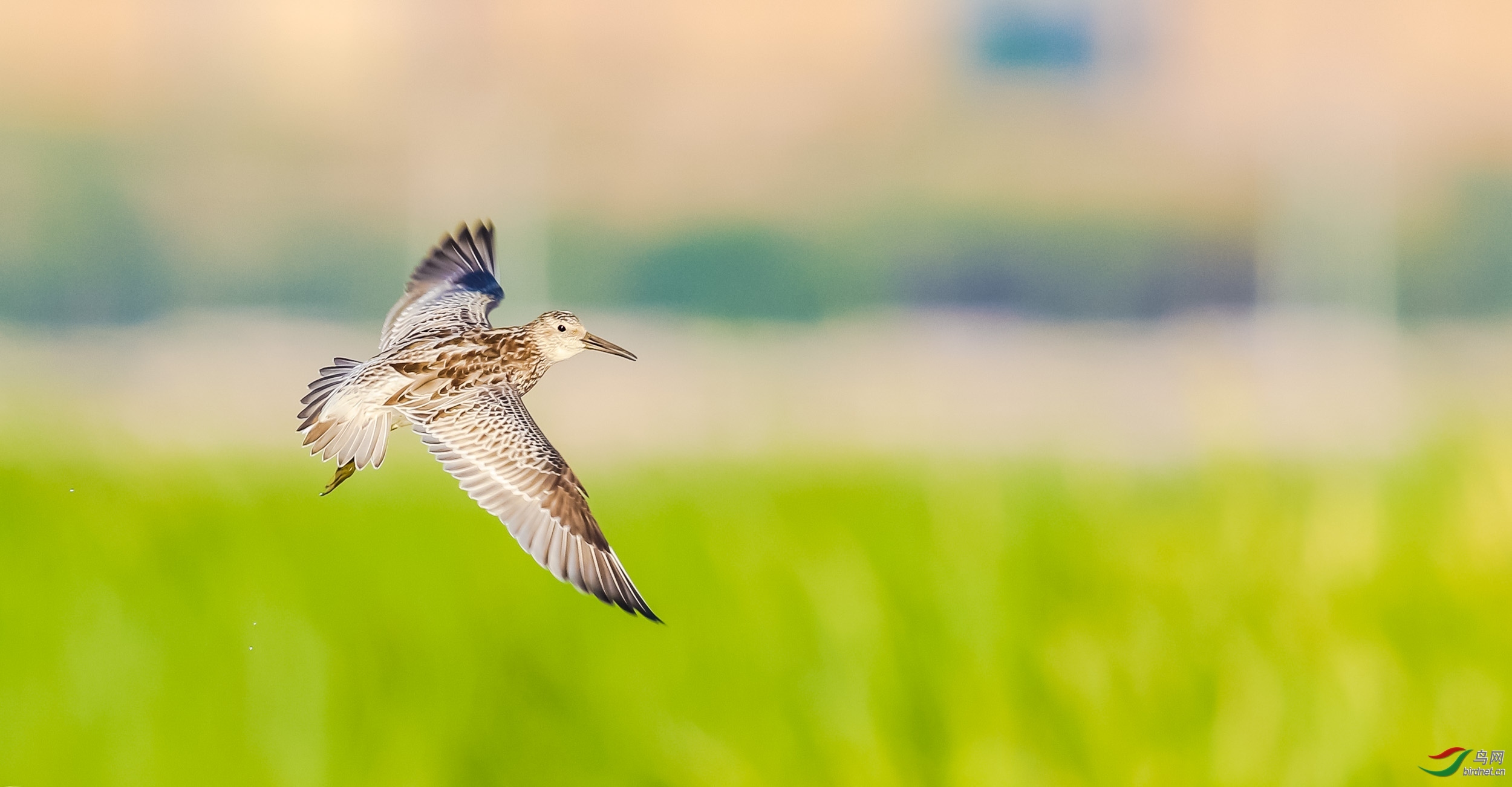 �����~�춣�� ��ʦ������ɽ��ʡ �ൺ�г�����.jpg