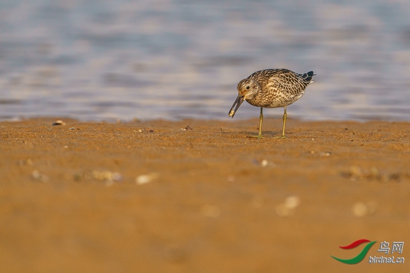 �������� ��ʦ������ɽ��ʡ������.jpg