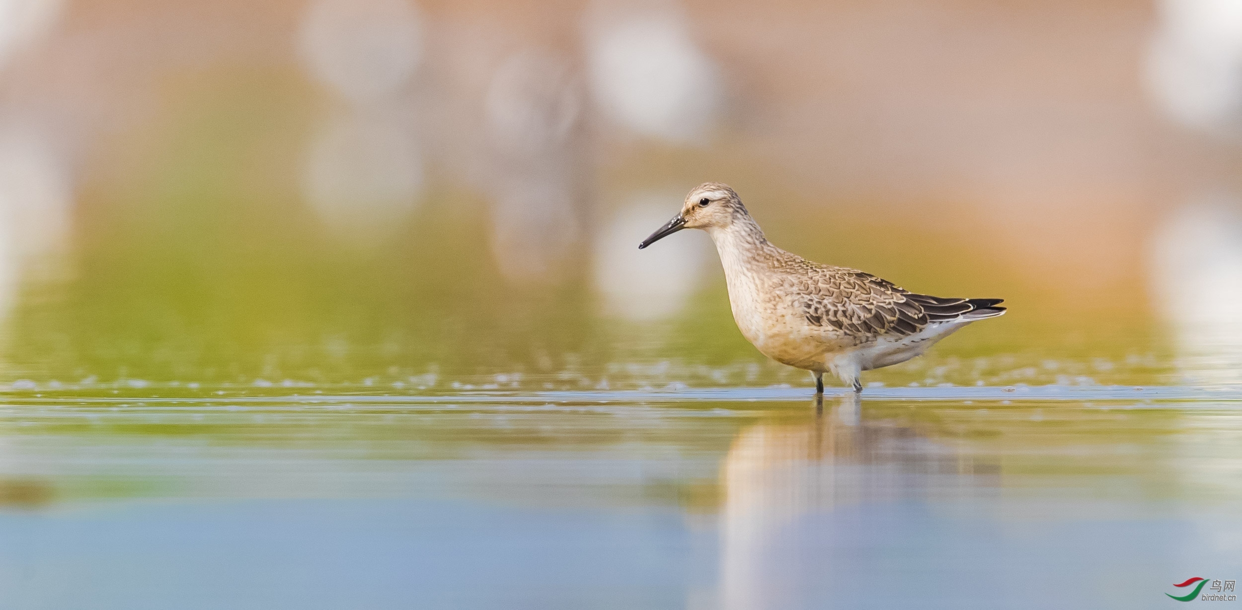 �����~�춣�� ��ʦ������ɽ��ʡ �ൺ�н�����.jpg