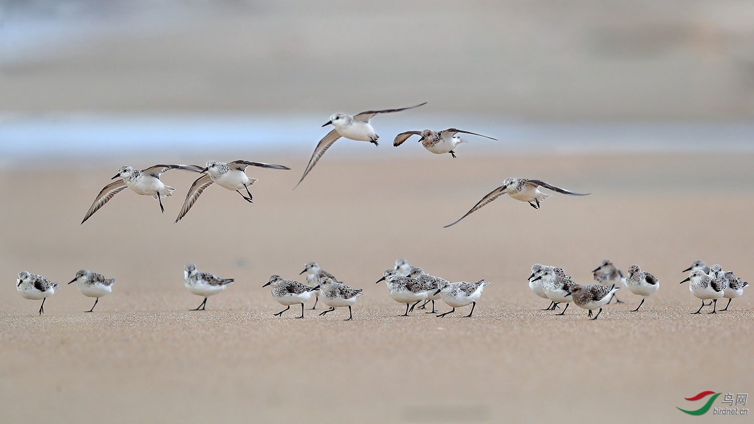 �������� ��ʦ�����ڹ㶫ʡ��ͷ��.jpg