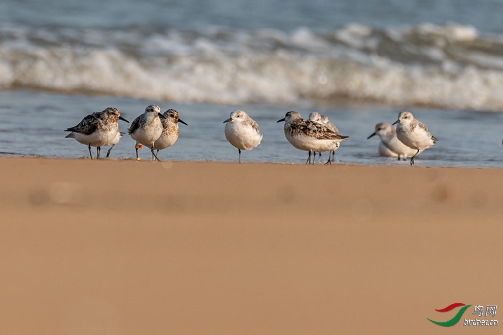 �������� ��ʦ������ɽ��ʡ������.jpg