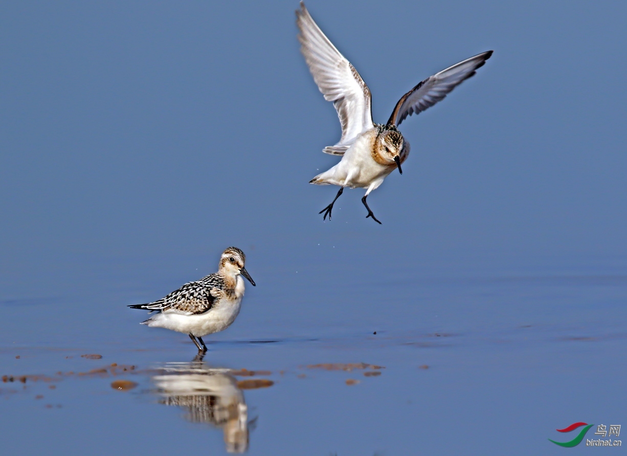 ����09 ��ʦ�����ڱ�����������.jpg