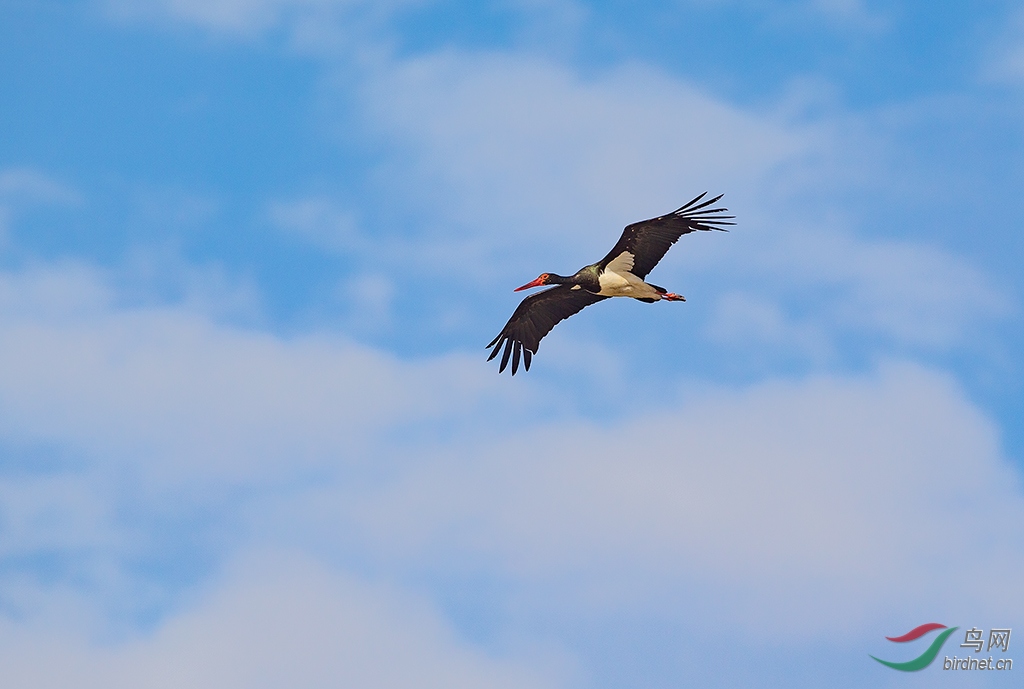 B79T4623.jpg