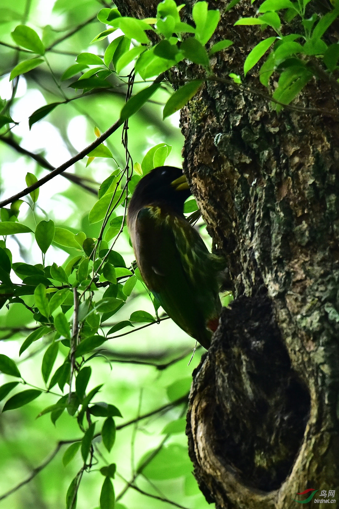 DSC_0052.JPG