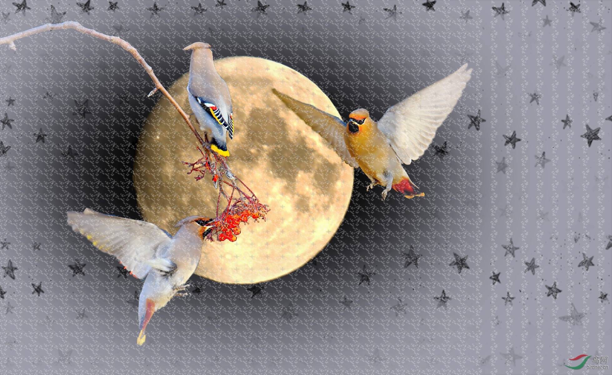 BE7W5929 - ���� - ����.JPG