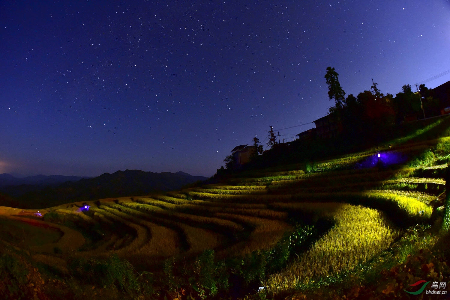 乡村夜景