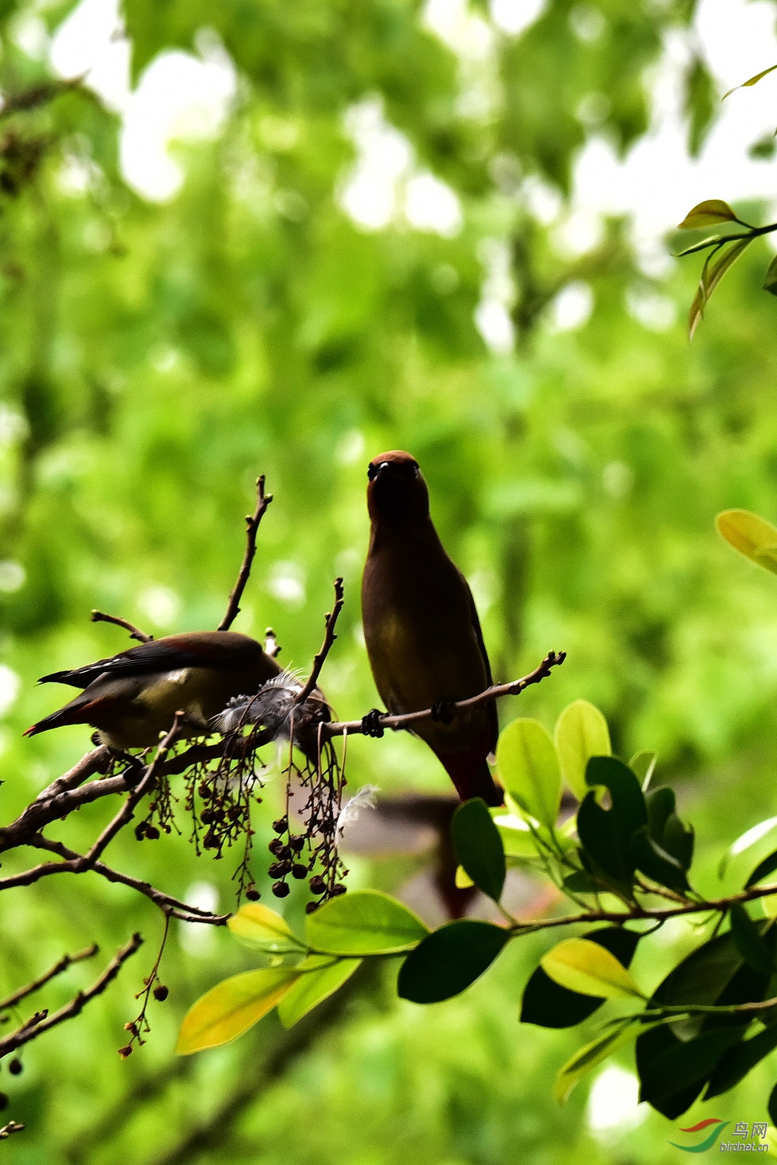 DSC_0740.JPG