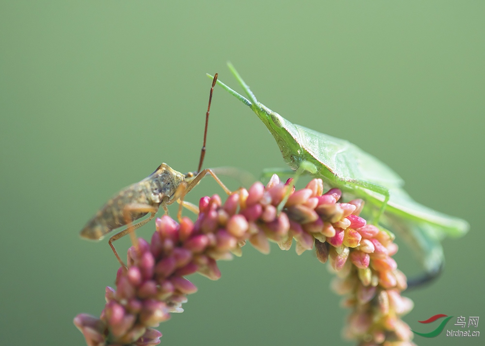 C13A9039a3.jpg