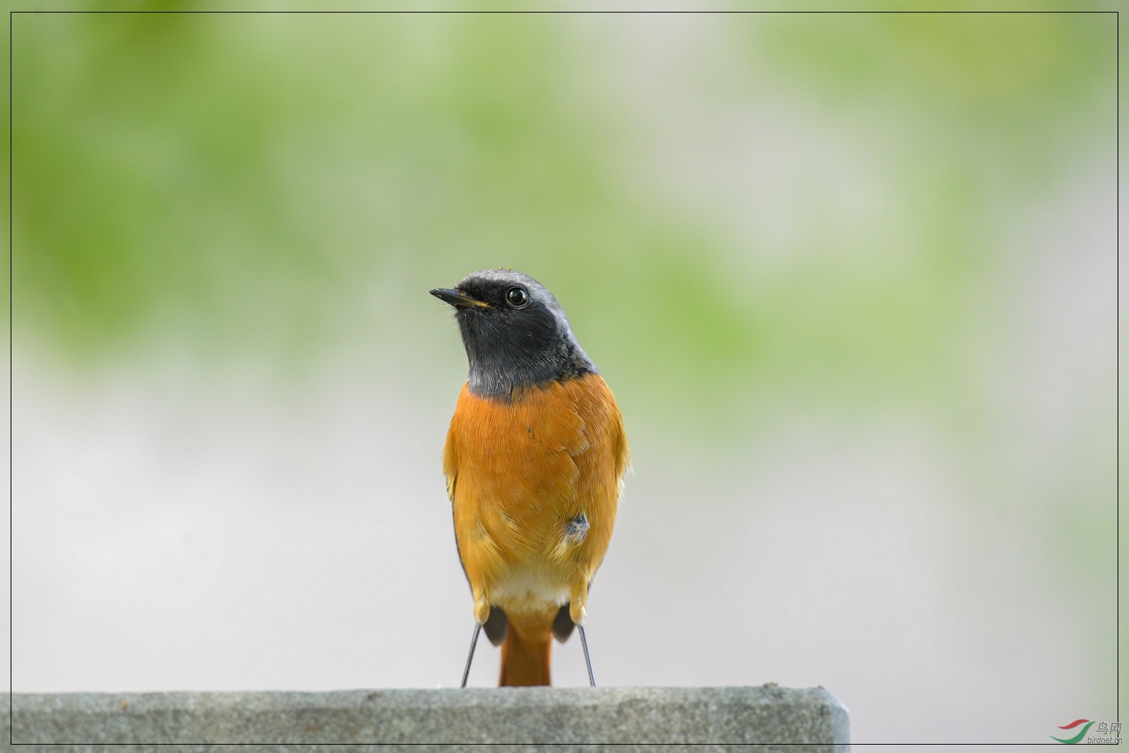 �ǶȲ���û��צ����ϧ����