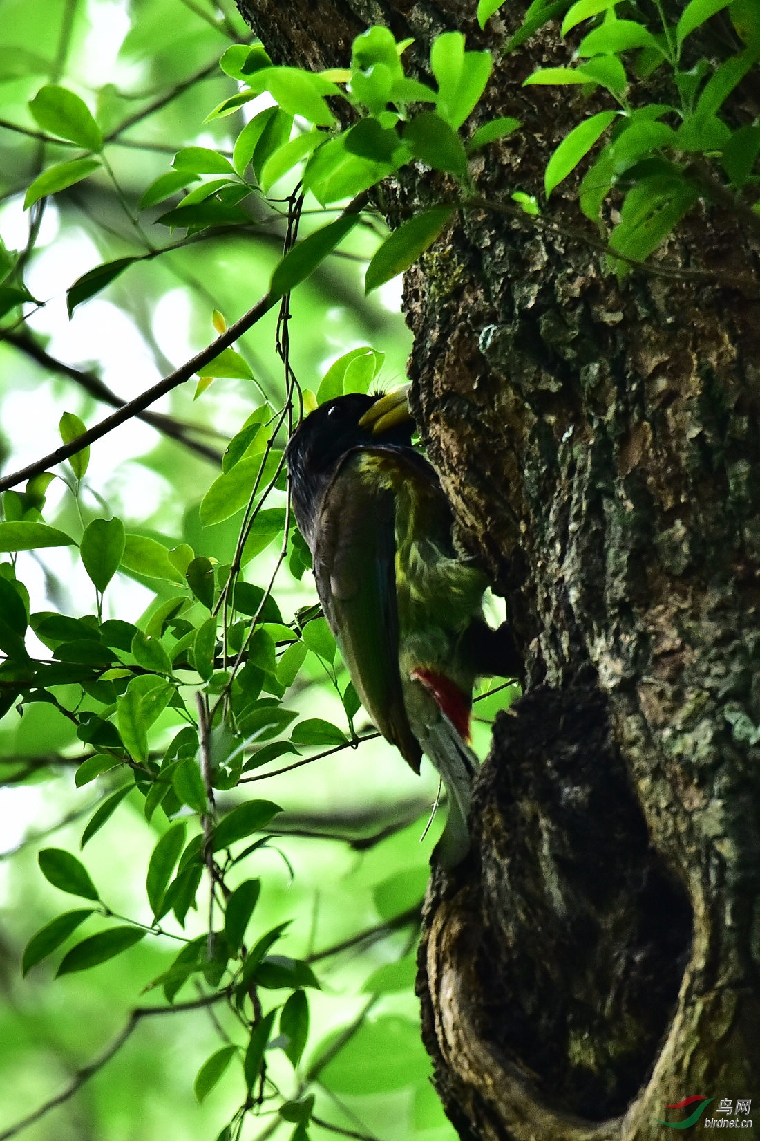 DSC_0053.JPG