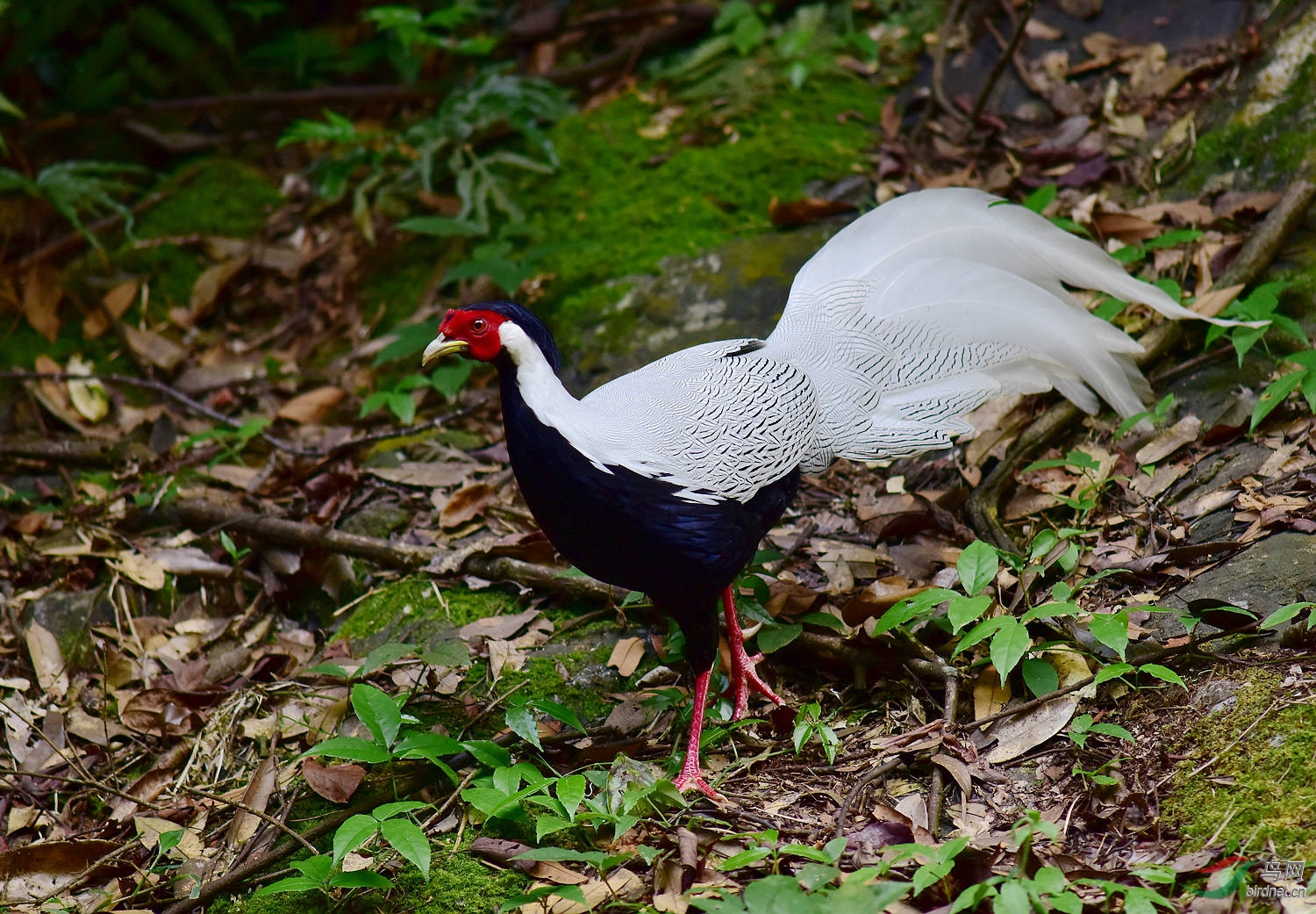 D8I_8070.jpg