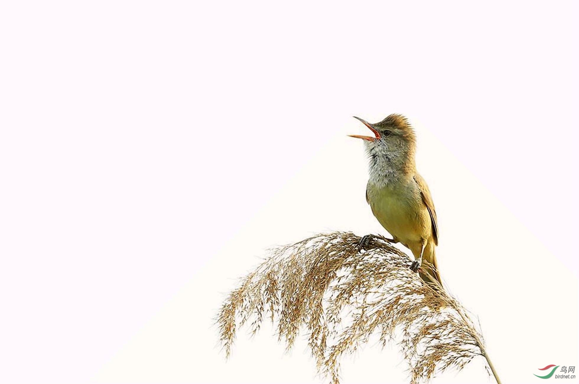 ��έݺ_����.jpg