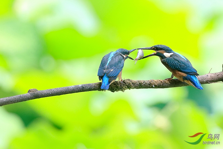 _27D4907.jpg