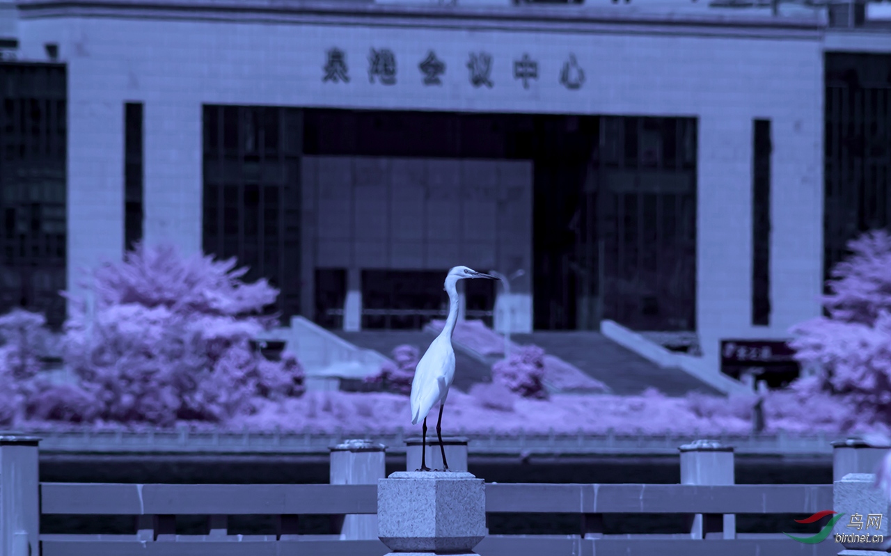 DSC00175.jpg