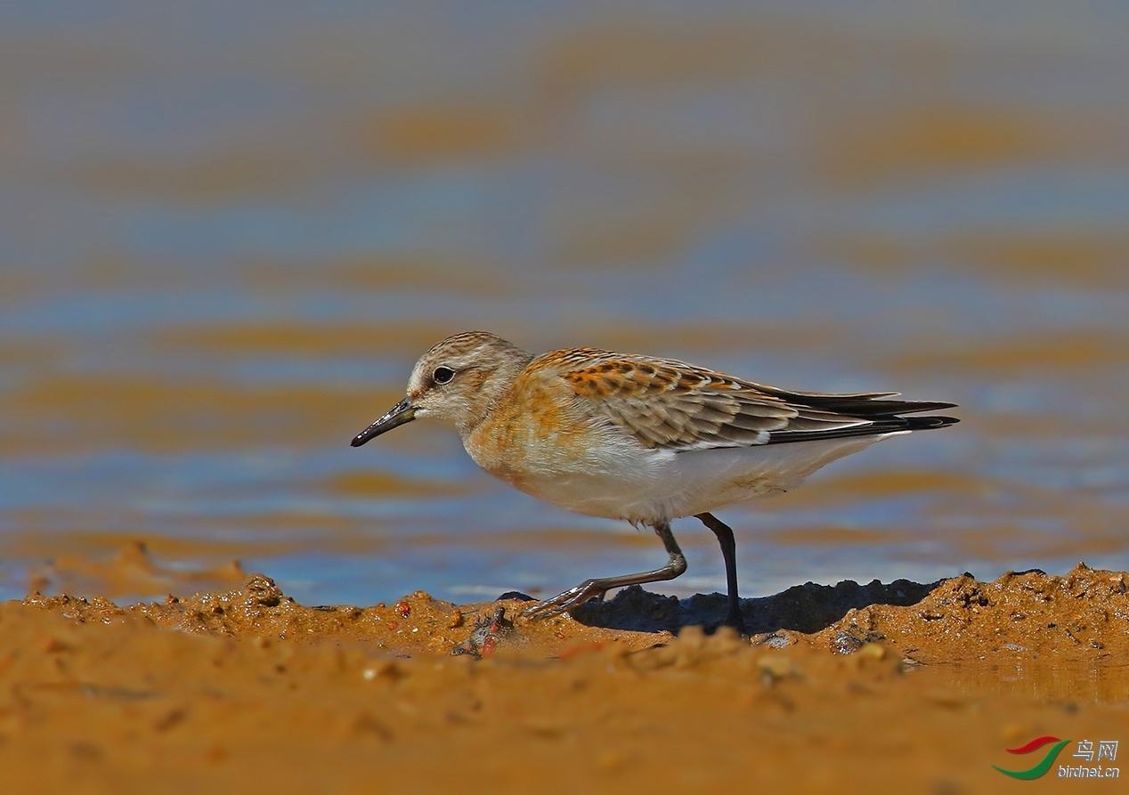 ����09 ��ʦ�����ڱ�����������.jpg