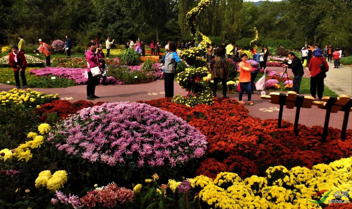 DSCN3156.JPG