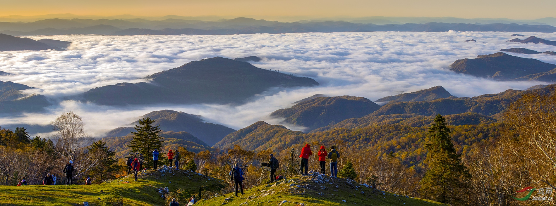 [风光] 摄影人的圣地--老秃顶子风景区