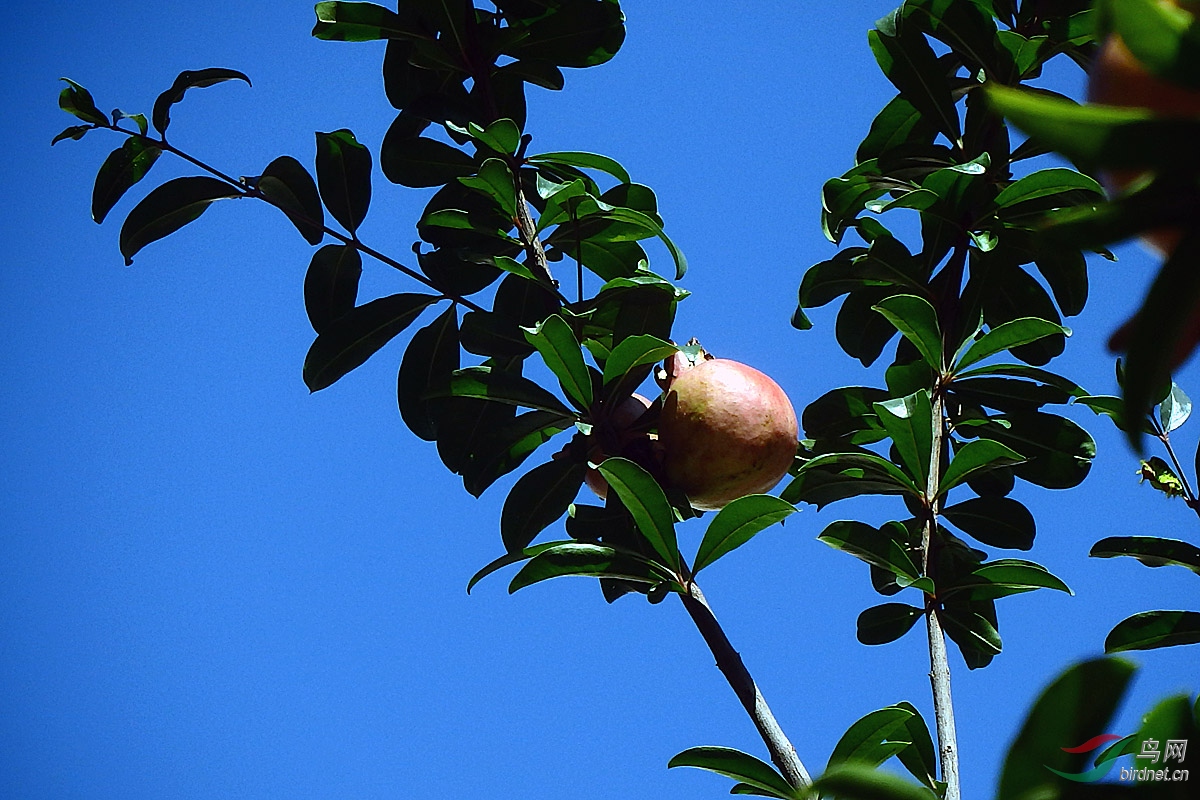 P8130125.jpg