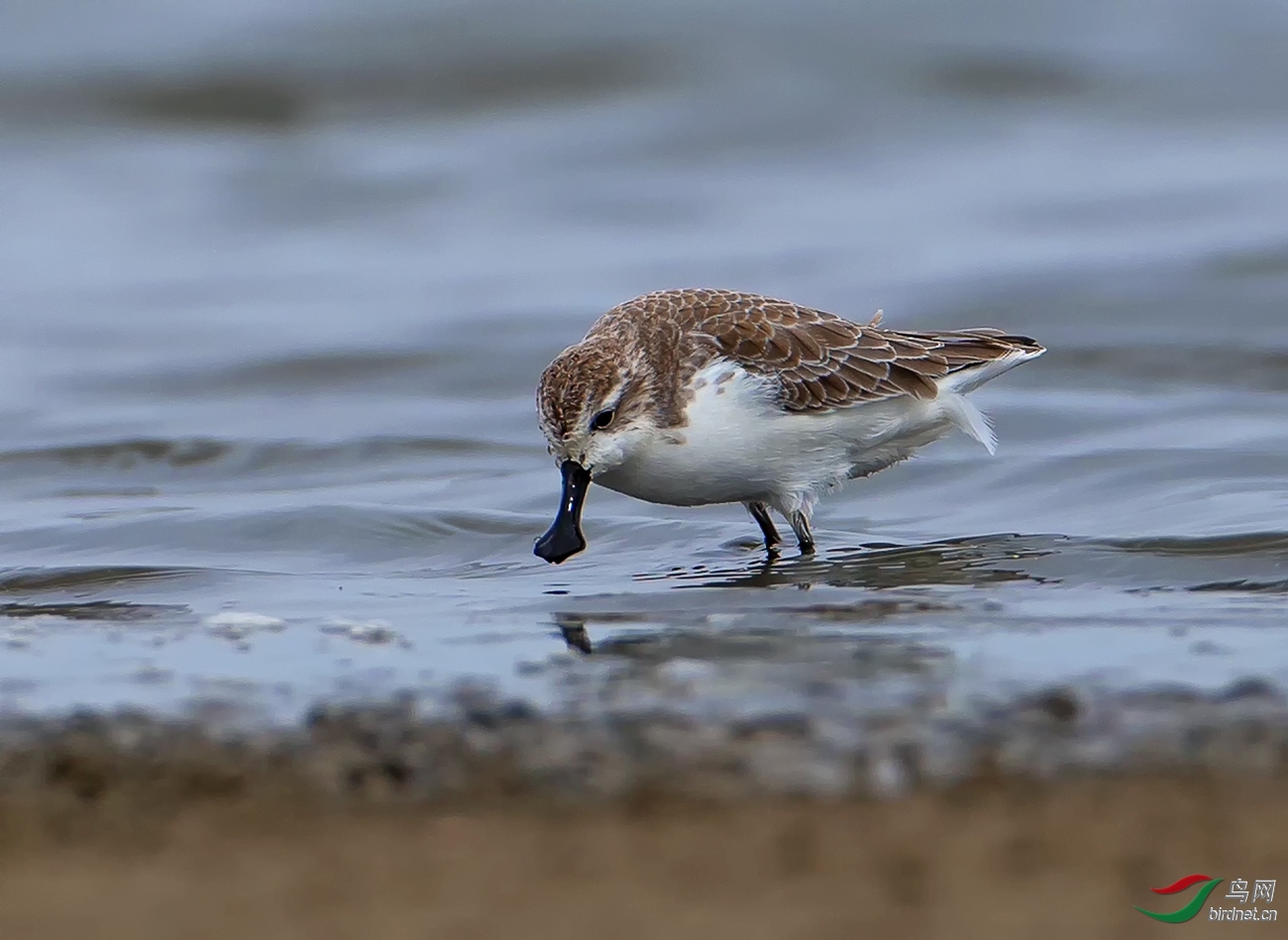 ���� ��ʦ�����ڽ���ʡ��ͨ��.jpg