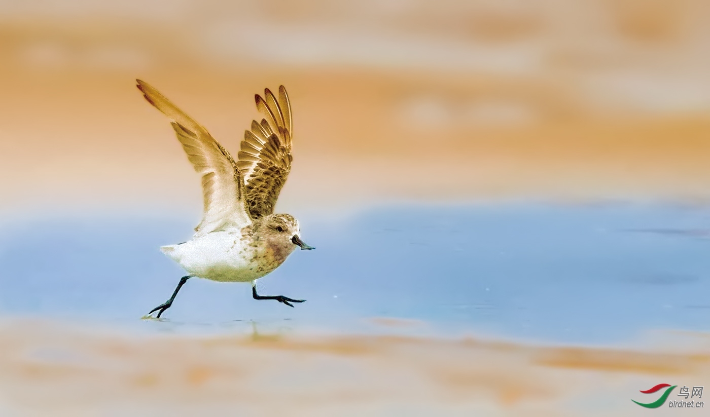 �������� ��ʦ�����ڽ���ʡ�γ���.jpg