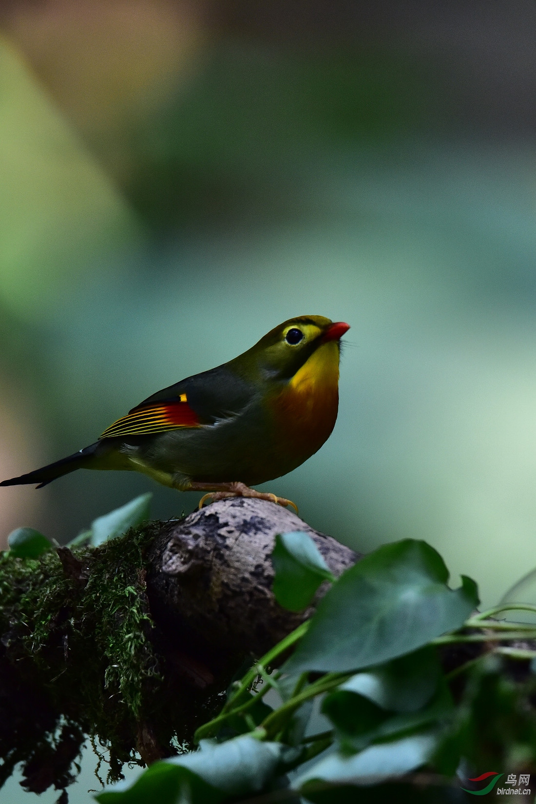 DSC_0752.JPG