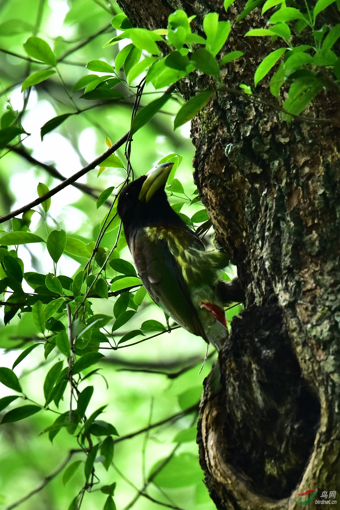 DSC_0055.JPG