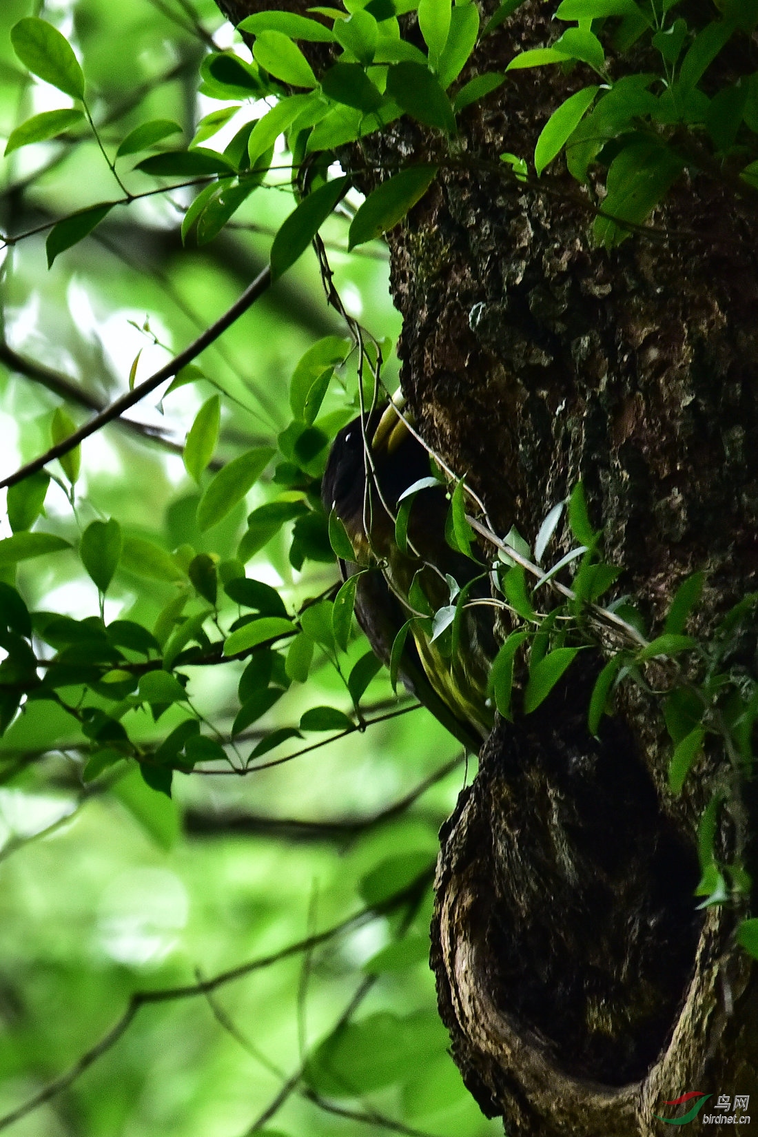 DSC_0056.JPG
