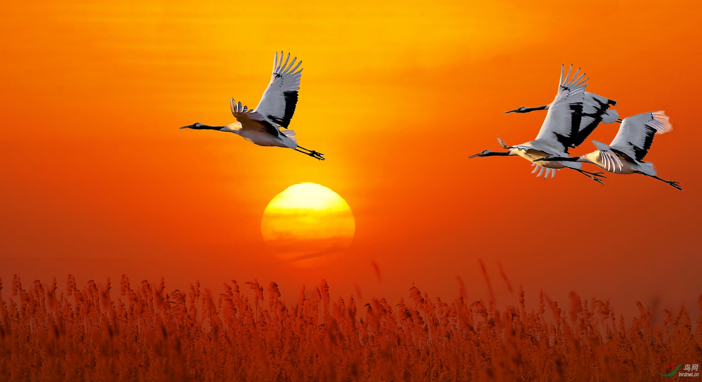 ��AB0R7757���� .jpg