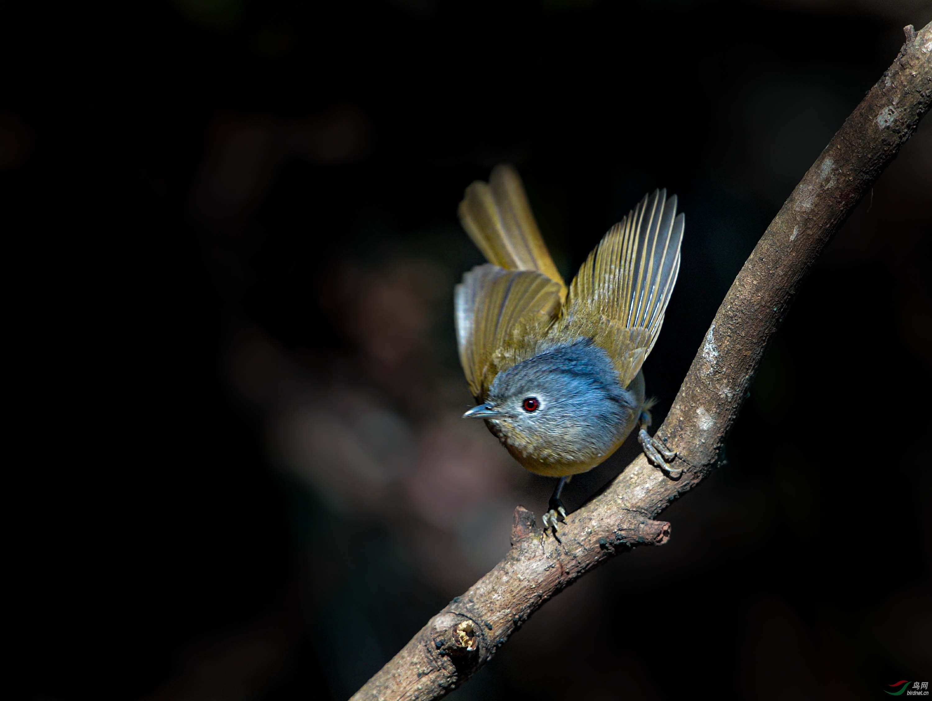 DSC_6050_--Ԥ��.jpg