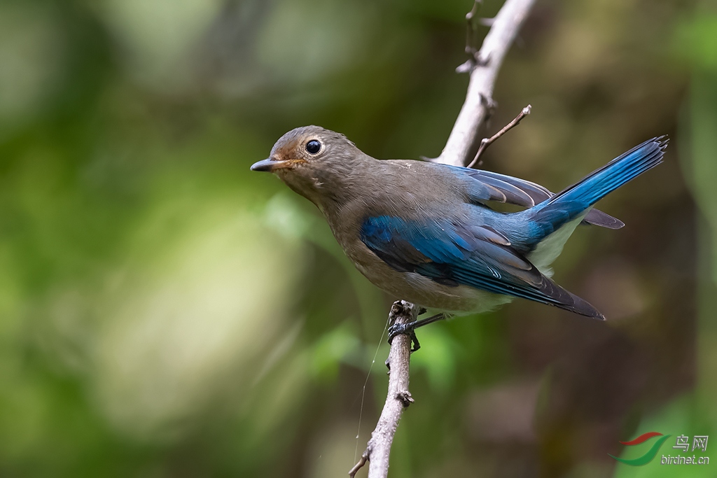 DSC_6293_DxOa.jpg