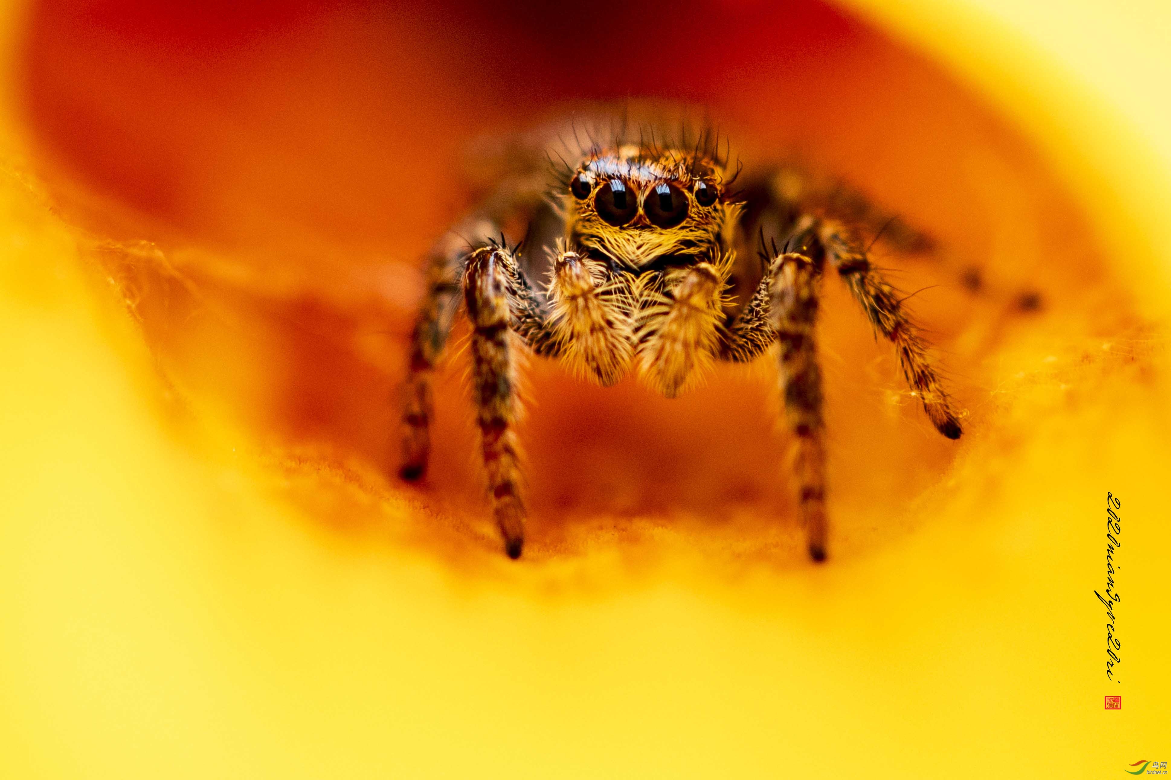 �����顷����-2020��9��20��