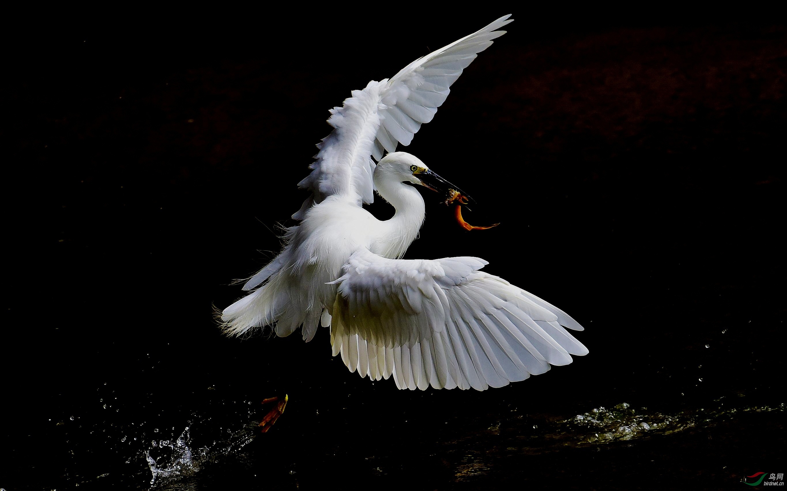 DSC_7416_conew4.jpg