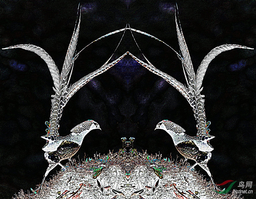 BW6I6559_����_����2_����.jpg