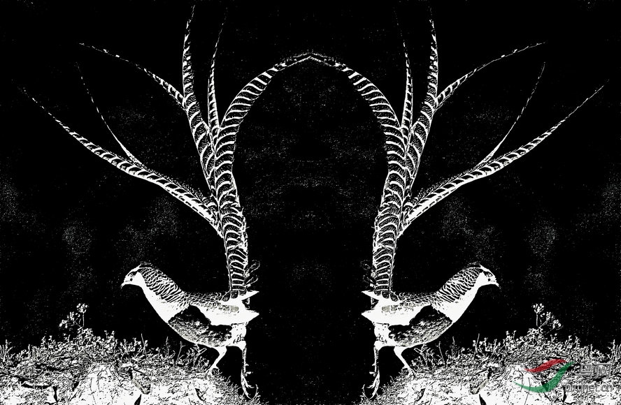 BW6I6560_����_����2_����1_����.jpg