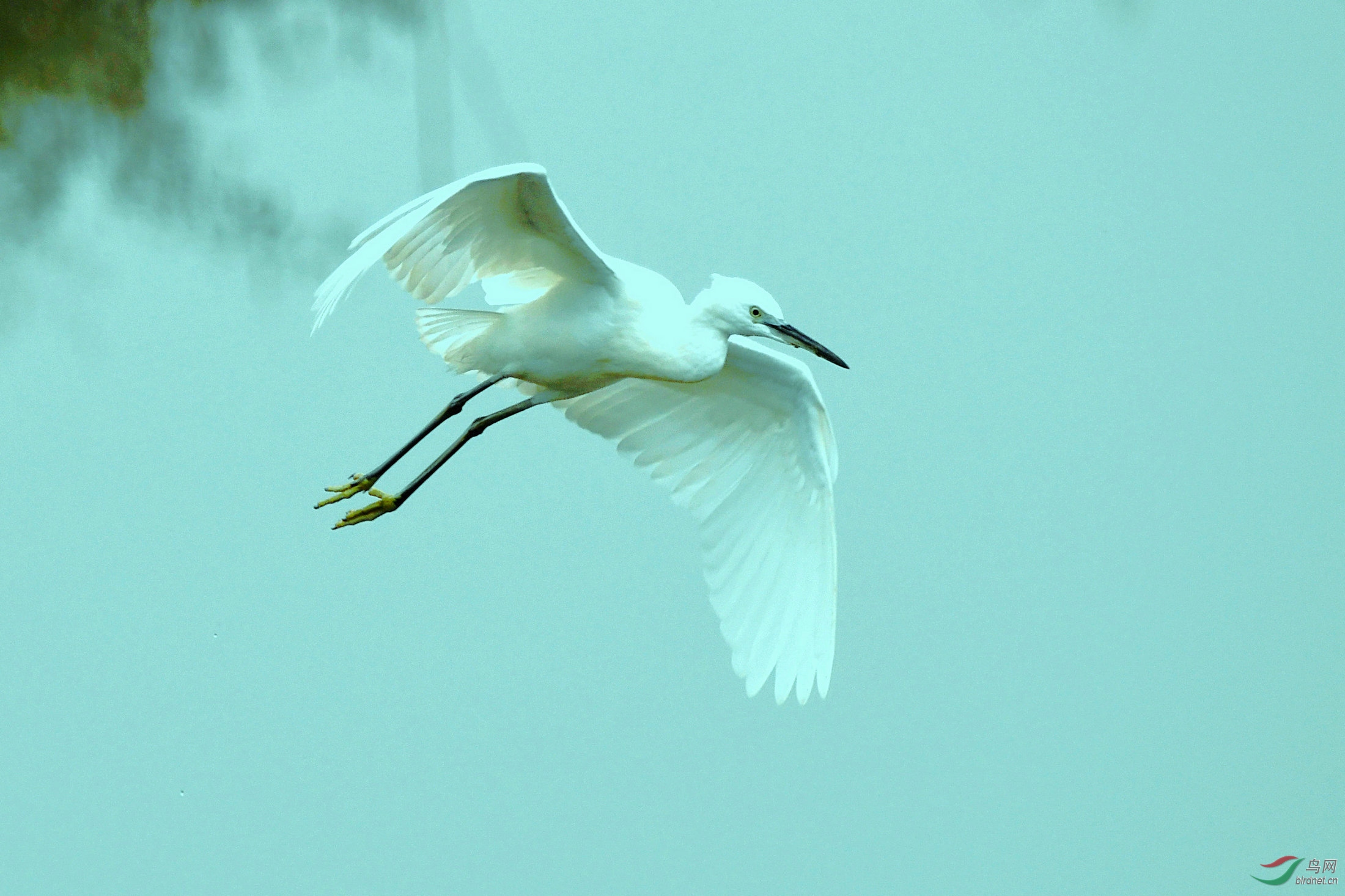 DSC_9511.jpg