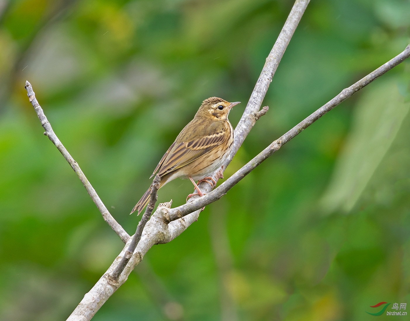 DSC_7846.jpg