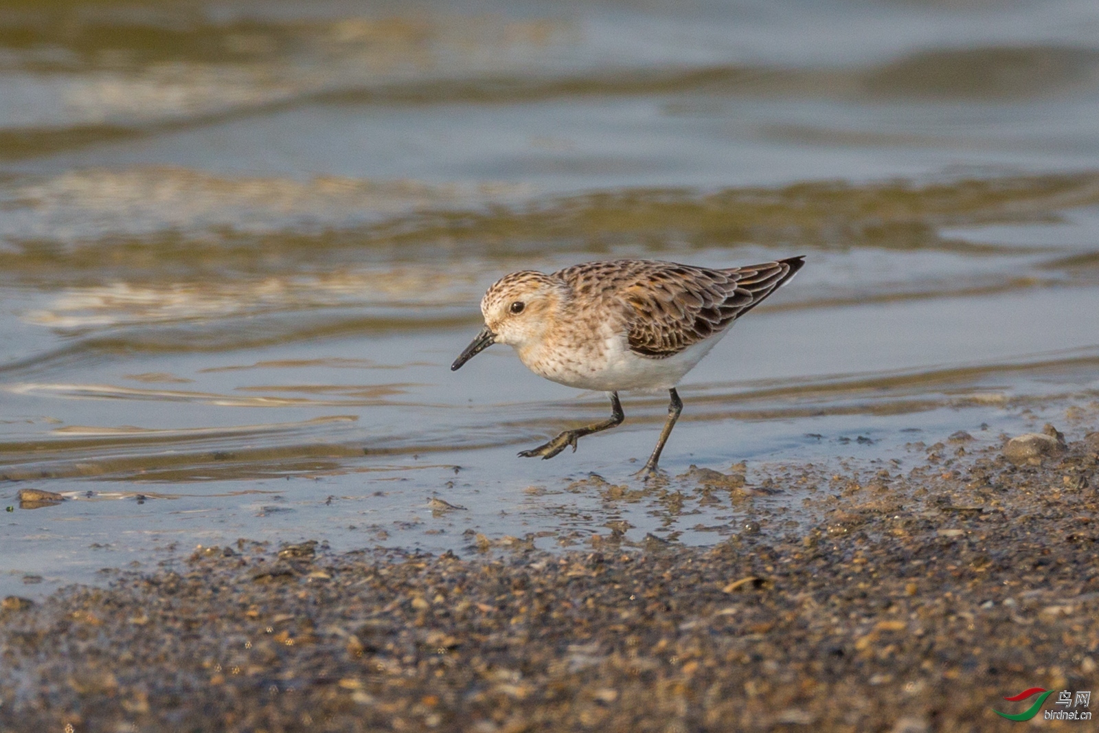 (����)  ϲ�� ��ʦ�����ڸ���ʡ������.jpg