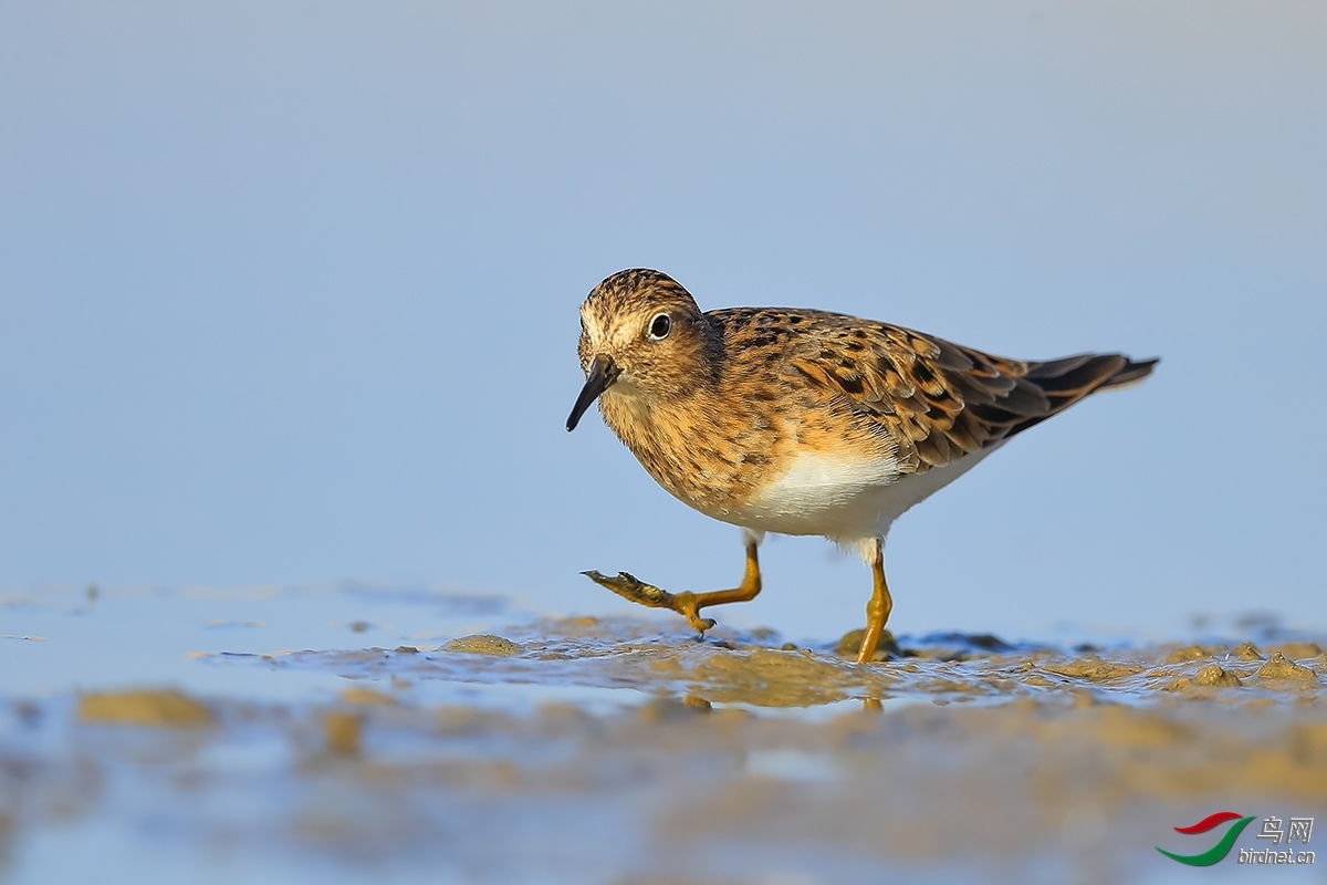 @-�ռ� ��ʦ�������½�.jpg